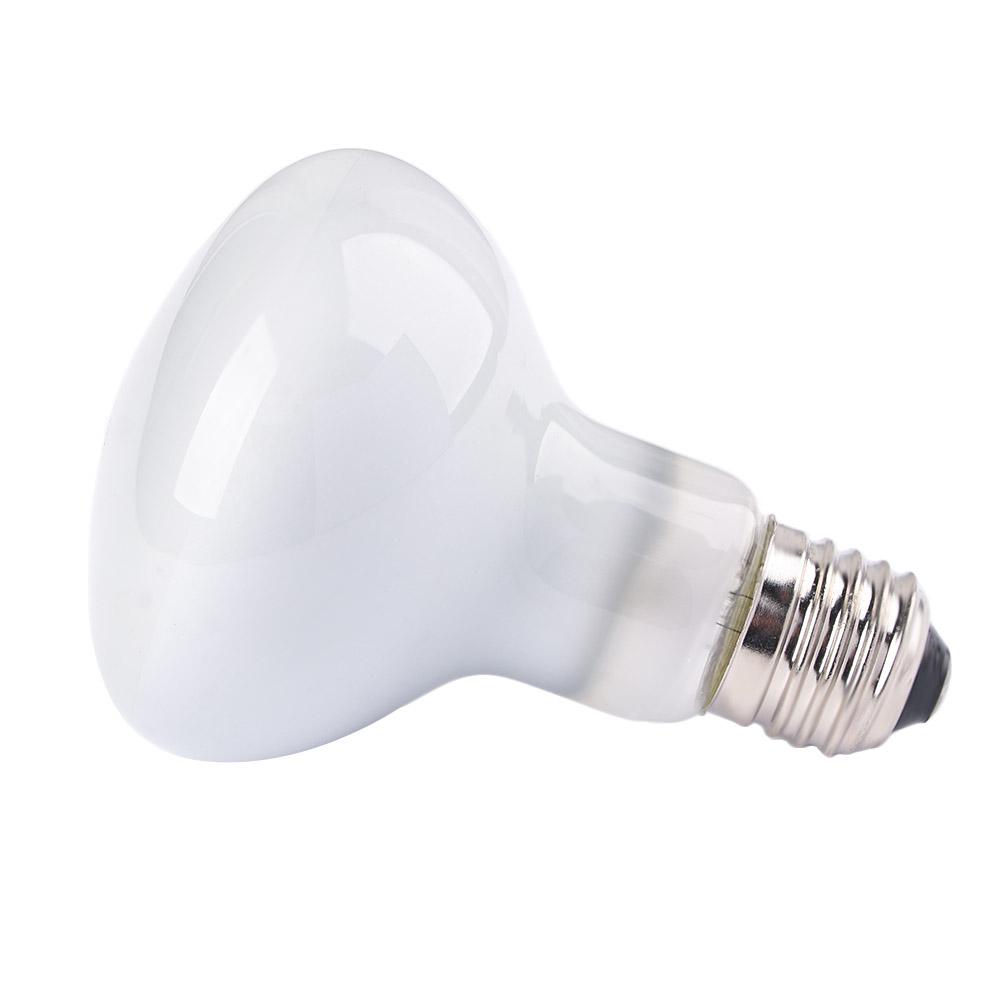 مصباح حراري للبرمائيات، مصباح  - مراجعة Basking Bulb Halogen وسعره