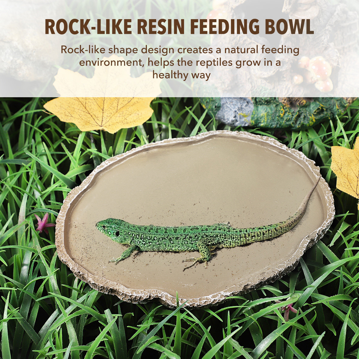 وعاء تغذية للزواحف مصنوع من ال - مراجعة Water Dish Reptile وسعره
