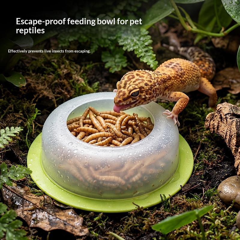 وعاء تغذية للزواحف مصنوع من ال - مراجعة Water Dish Reptile وسعره