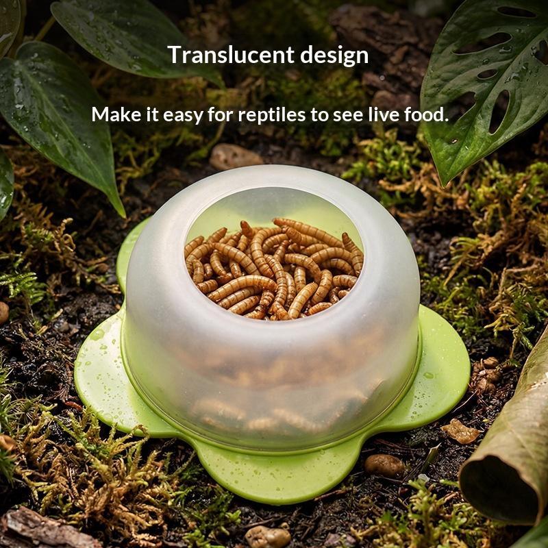 وعاء تغذية للزواحف مصنوع من ال - مراجعة Water Dish Reptile وسعره