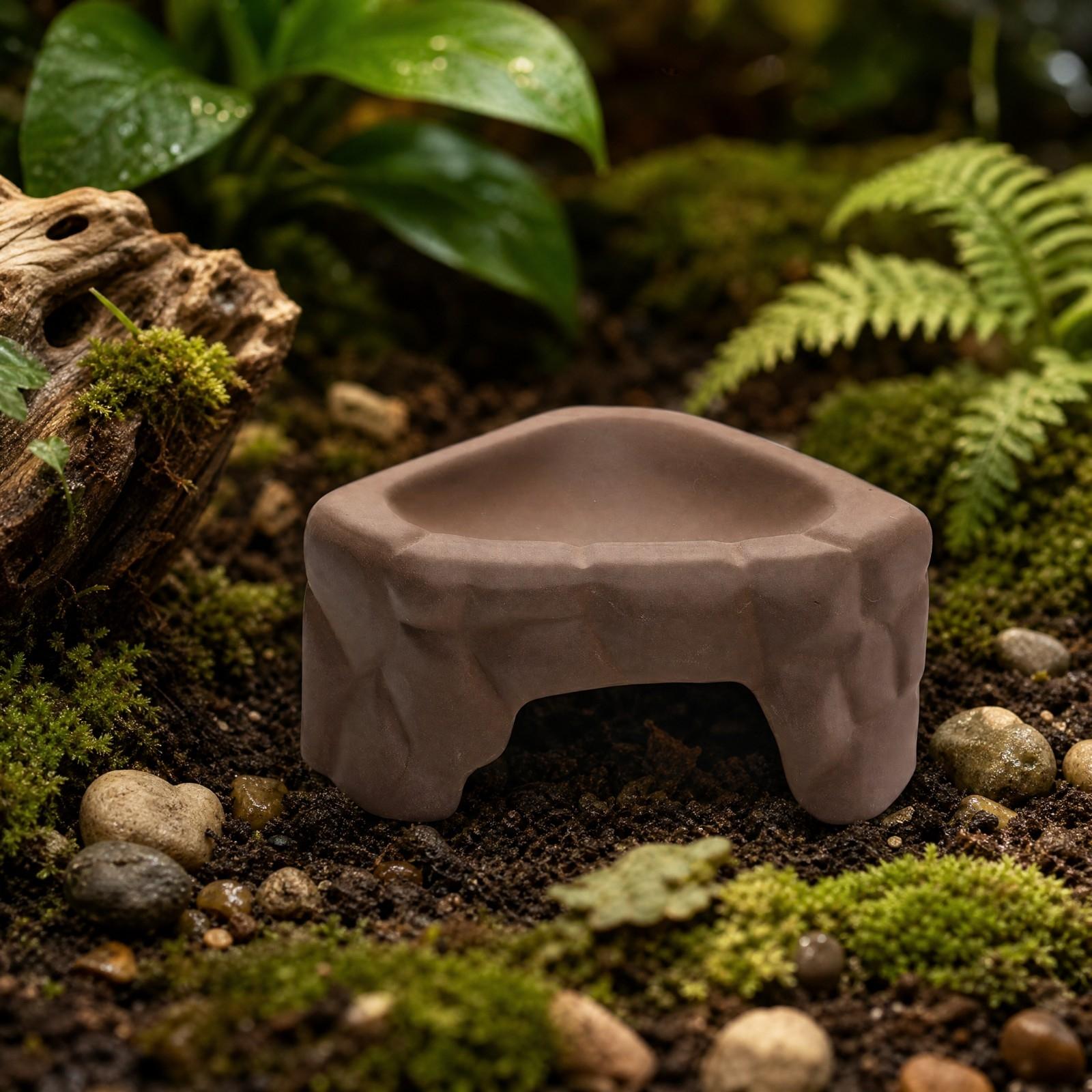 منصة تغذية للزواحف من السيرامي - مراجعة Hide Cave Ceramic وسعره