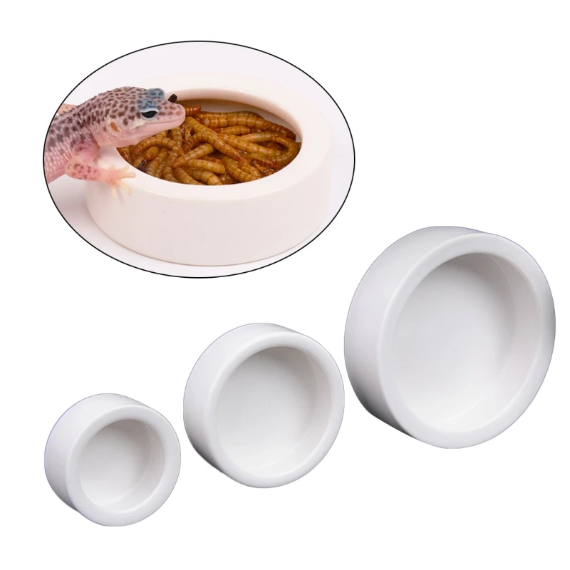وعاء طعام للزواحف مانع للهروب، - مراجعة Water Dish Reptile وسعره