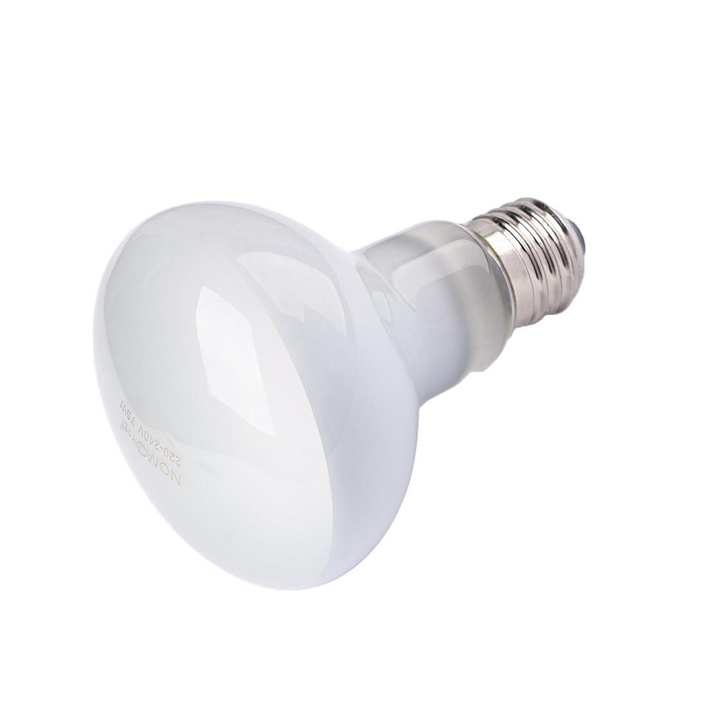 مصباح حراري للبرمائيات مع جهاز - مراجعة Basking Bulb Halogen وسعره